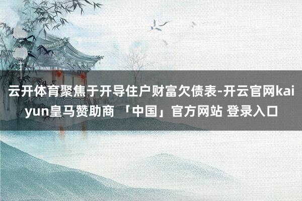 云开体育聚焦于开导住户财富欠债表-开云官网kaiyun皇马赞助商 「中国」官方网站 登录入口